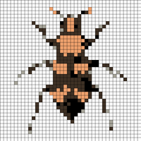 Beetle.jpg
