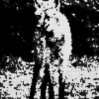 imageonline-monochrome-4861350.jpeg