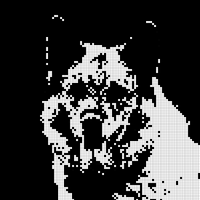 pimu_1bit.bmp