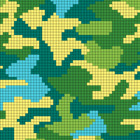 camo.jpg