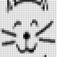 Screen Shot 2021-09-28 at 3.43.49 PM.png