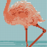 flamingo
