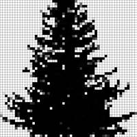 pine