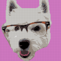 kinnon.jpg