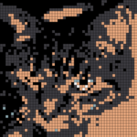 27368743_10156141672914810_4121732868808954822_o.jpg