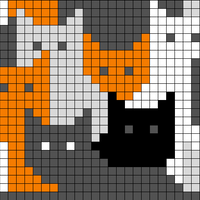 Cat Afghan