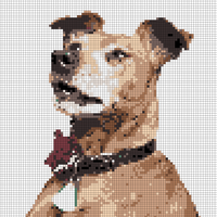 Max2.png