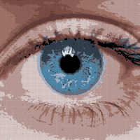 eye.jpg
