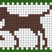 Vizsla