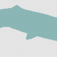 sperm-whale-silhouette.jpg
