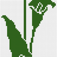 Cala Lily