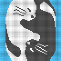 Smaller Cat YinYang