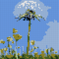 dandelion.jpeg
