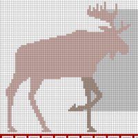 Moose