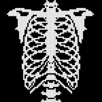SKELETON_TORSO_1e4367d7-266c-47a1-aaee-ebf1c9449a1c_800x.jpg