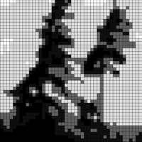 MUSKOKAPINES cropped.jpg