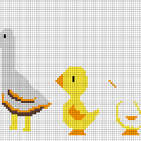 duck 