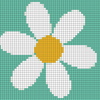 daisypacha