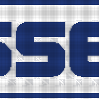 logo s.png