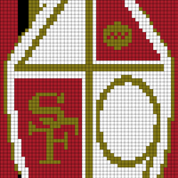 49ers Sheild