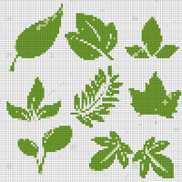 leaves