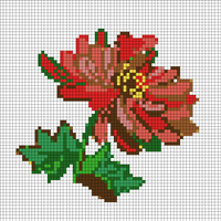 chrysanthemum.png