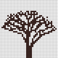 Akacietræ1