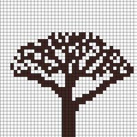 Akacietræ2