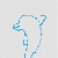 Copy of Dolphin