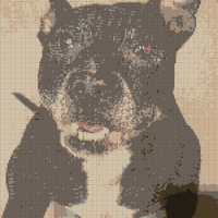 IMG-20220105-WA0001.jpg