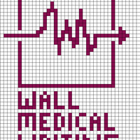 Wall Medical Writing, LLC