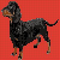 file_23020_dachshund-dog-breed.jpg