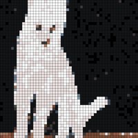 duster cat.jpeg