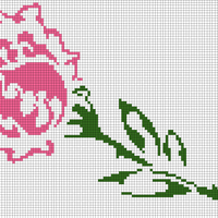 Rose bloom