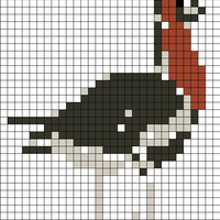 red-breasted-goose-andras-vasas.jpg