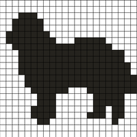 bernese for template.jpg
