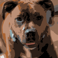 Cisco 6 Color