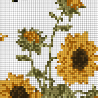 sunflower-highly-detailed-drawings-vector.jpg
