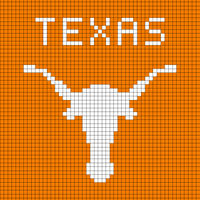 longhorn pillow