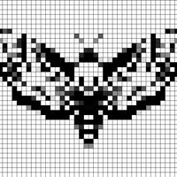 deaths-head-hawk-moth.jpg