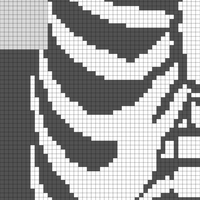 ribcage 2.jpg