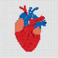 heart.jpg