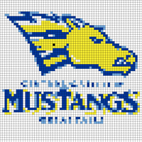Copy of mustang.jpg