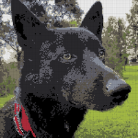 1811F580-5E90-4145-BB0C-DFDCAF82384B.jpeg