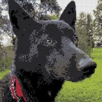 3B30E645-1C95-4B2C-8D6E-97E661621A38.jpeg