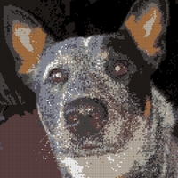 JPEG_20210422_193945_3537782618563308216.jpg