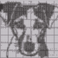doggy.jpg