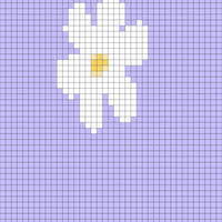 daisys.jpg