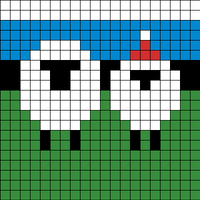 sheep