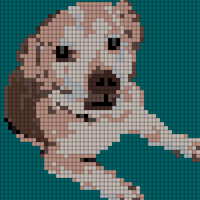 Sandy's Dog
